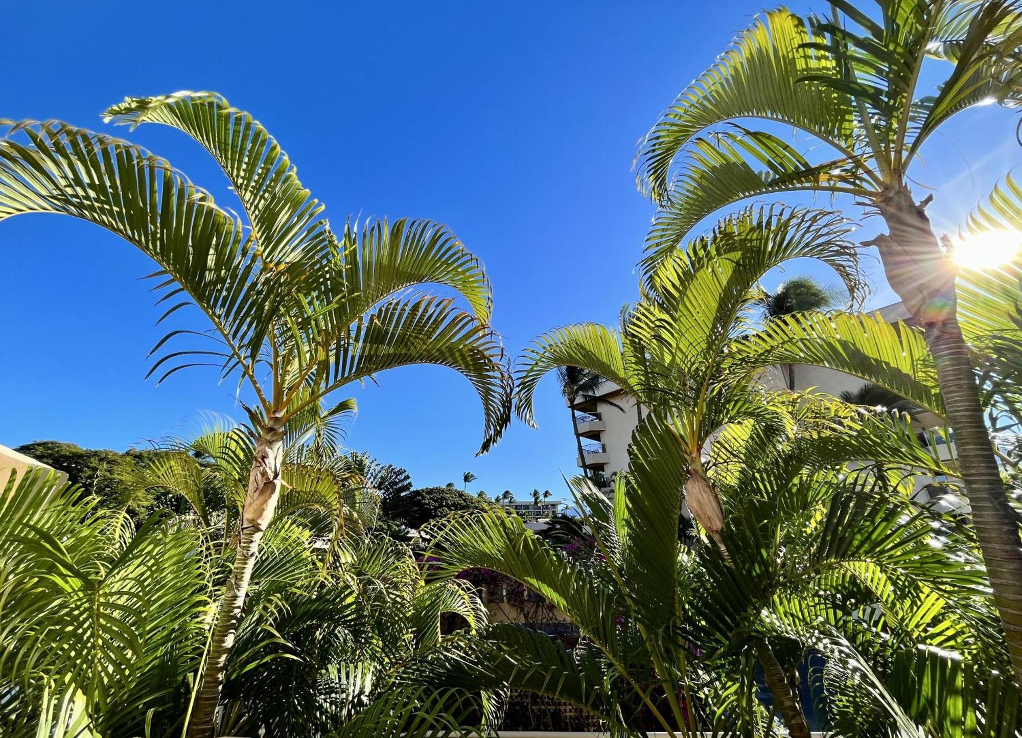 Maui Banyan Villa Wailea  Rom bilde