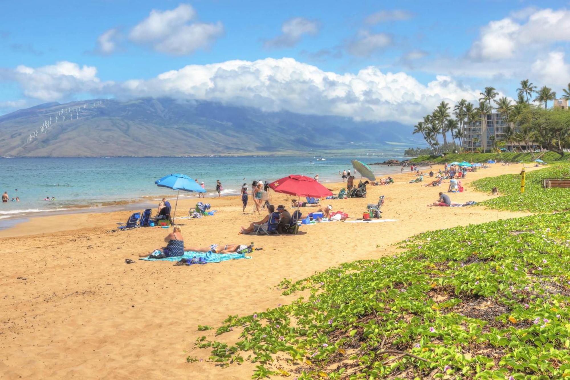 Maui Banyan Villa Wailea  Rom bilde
